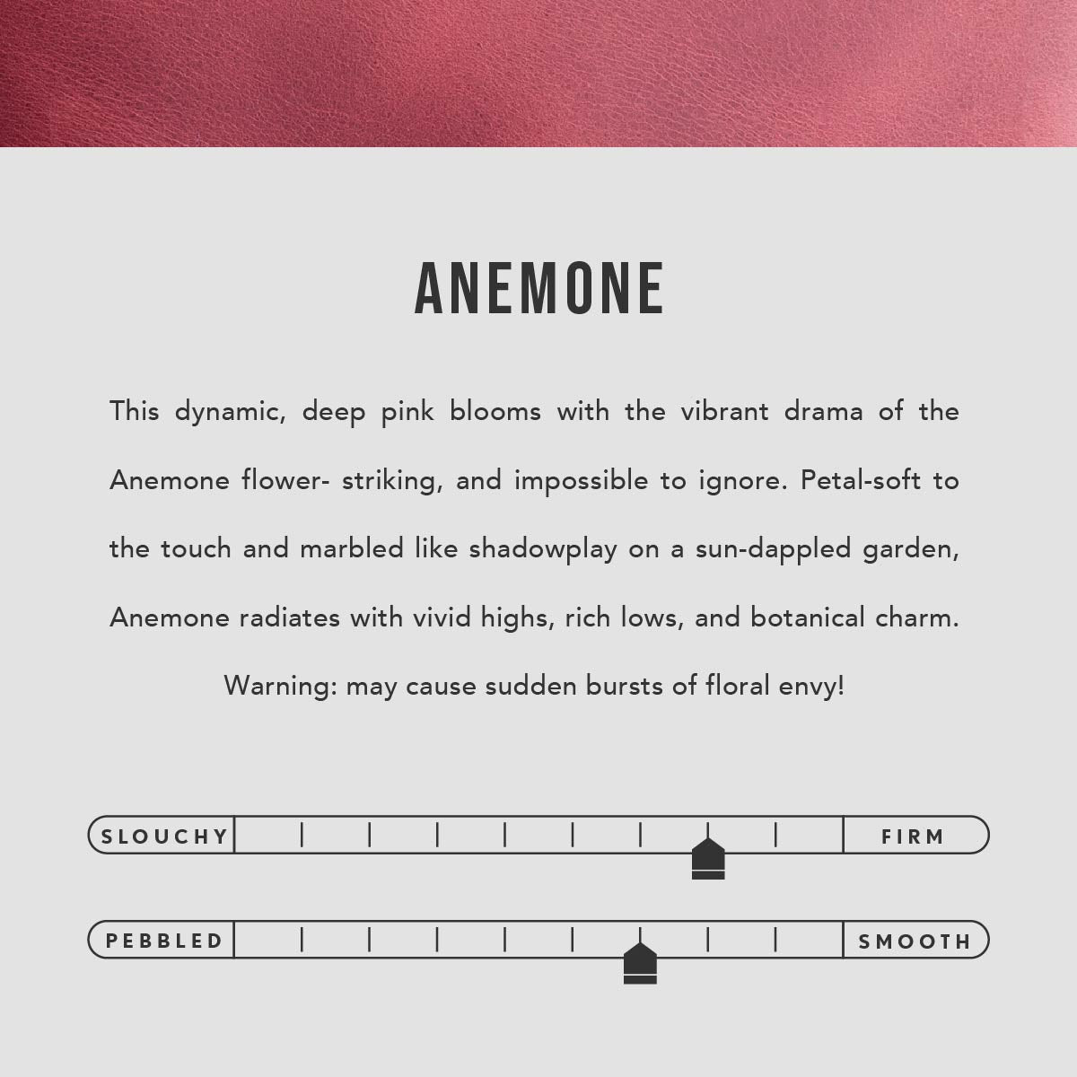 Anemone | infographic