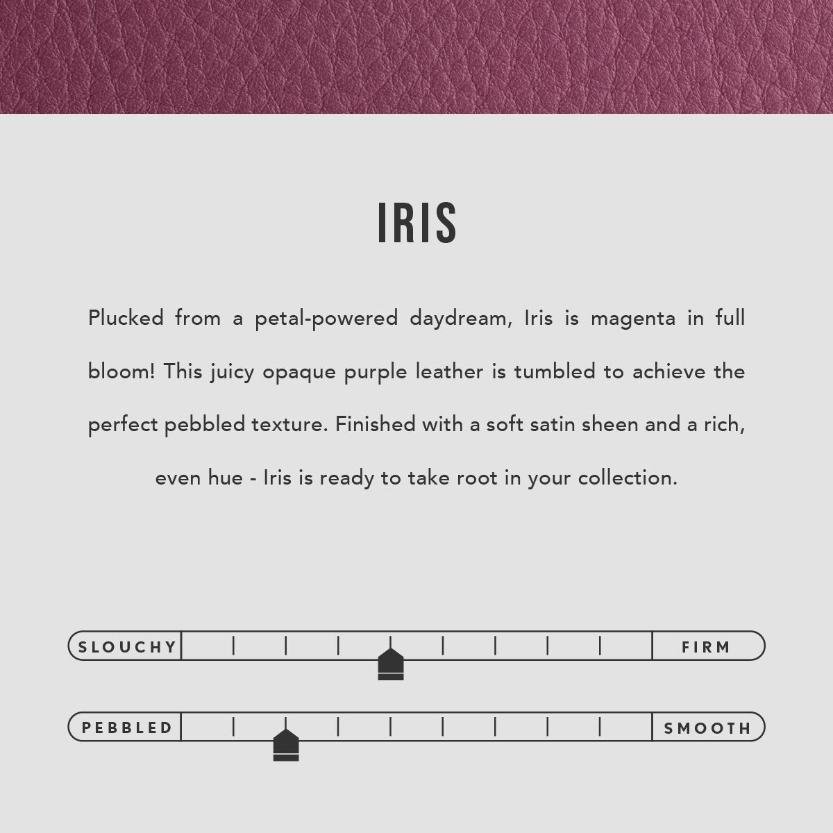 Iris | infographic