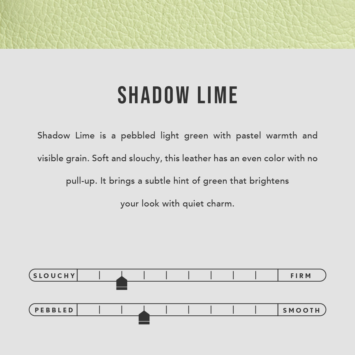 Shadow Lime | infographic