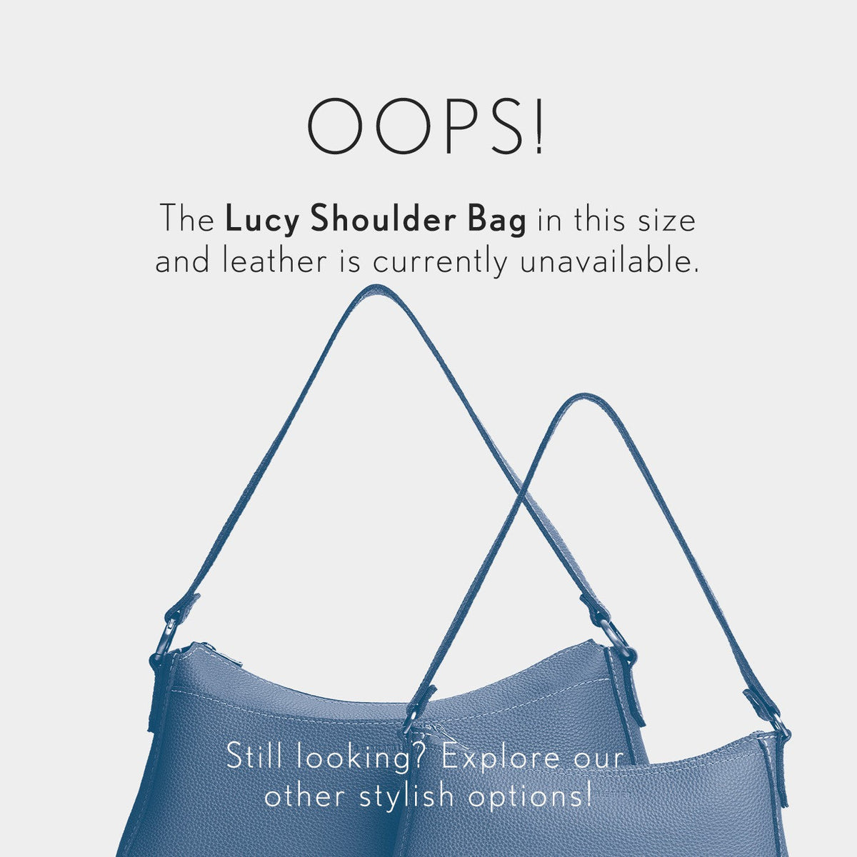 Skyway*Large | OOS infographic